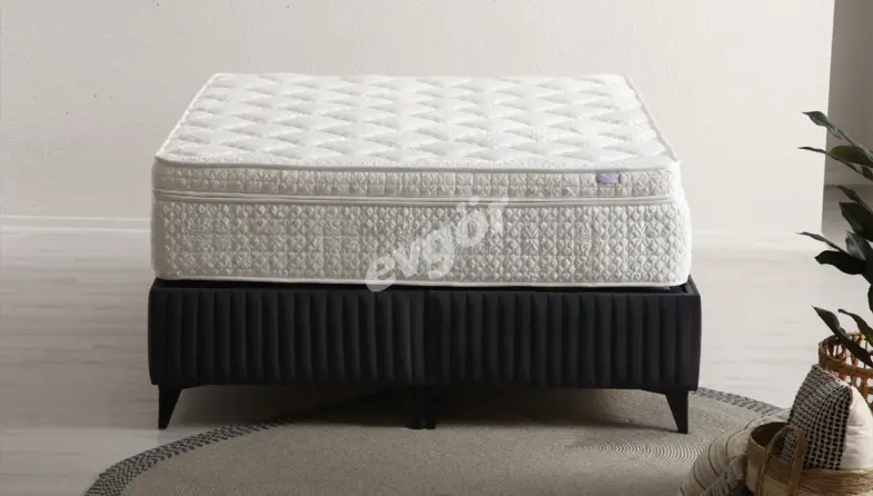 Dream Orthopedic Bed - 2