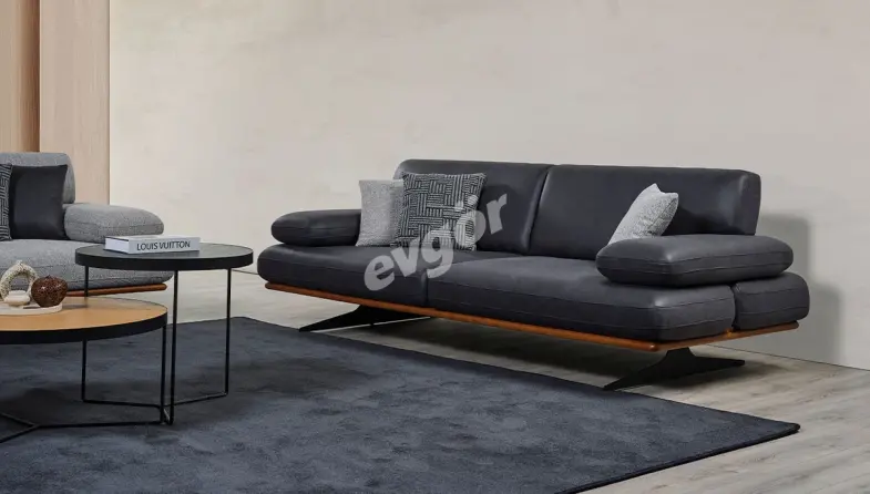 Moana Modern Sofa Set - 4