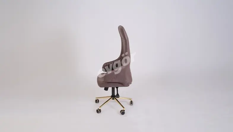 Viyana Luxury Office Chair - 3